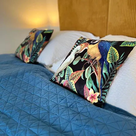 Aner 5 Elegantes Neustadt Abby *